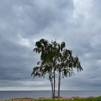 Summer begins 0626 3 :: Arturs Ancans