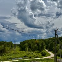 Просторы Подмосковья. :: Любовь 