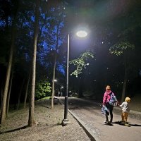 Тополиный пух. Пока не жара, но июнь...) :: Леонид Школьный