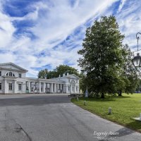 Летнее утро на Елагином :: Евгений Летнее утро на Елагином :: Евгений