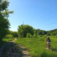 Вот, моя деревня ... :: Андрей Лукьянов