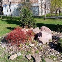 Апрель :: Владимир Драгунский