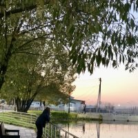Вечерняя прогулка :: Ольга 