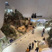 Государственный Дарвиновский музей в Москве :: Ирэн 