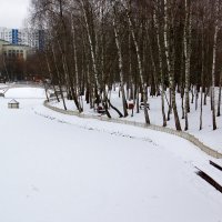 Лианозовский парк :: Игорь Белоногов
