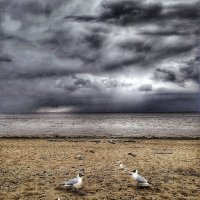 ... :: ВЛАДИМИР ... :: ВЛАДИМИР