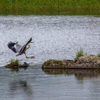 Мягкая посадка :: Barguzin_45 Иваныч