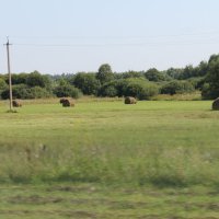 ПАХНЕТ СЕНОМ НАД ЛУГАМИ... :: Валентина 