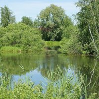 Летним днем на даче :: Галина Нестратова Летним днем на даче :: Галина Нестратова