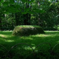 Могила Льва Толстого. :: Люба Могила Льва Толстого. :: Люба