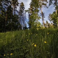 *** :: Николай *** :: Николай