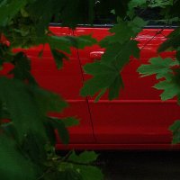 в два цвета :: Николай Семёнов