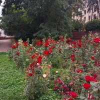 Almaty. :: Murat Bukaev 