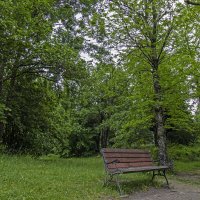 *** :: Николай *** :: Николай