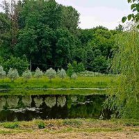 Отражение :: Галина Бобкина Отражение :: Галина Бобкина