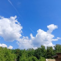 поймал зо хвост :: Владимир 