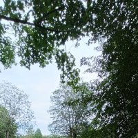 тропами  Василёво :: Галина R...
