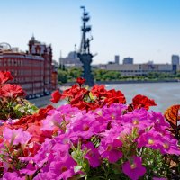 Уличный натюрморт :: Владимир Мигонькин