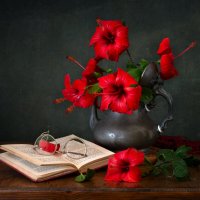 *** :: Людмил@ ...