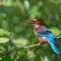*** :: Людмил@ ... *** :: Людмил@ ...