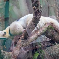 Orientarium ZOO Łódź :: Светлана Ищенко