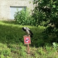Смотритель) :: Veera V Смотритель) :: Veera V