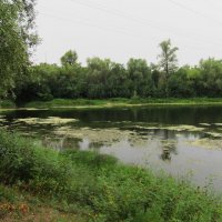 за городом :: Елена Шаламова за городом :: Елена Шаламова