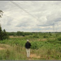 Река заросла :: Aleksandr Gal Река заросла :: Aleksandr Gal