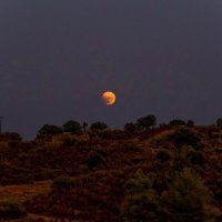 Лунное затмение :: Олег Лунное затмение :: Олег