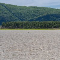 Амурские просторы :: Виктор Иванович Чернюк Амурские просторы :: Виктор Иванович Чернюк