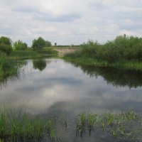 Усманка :: Елена Шаламова
