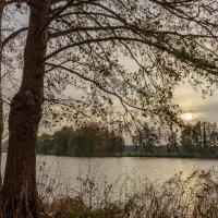 У двух деревьев... :: Николай Гирш У двух деревьев... :: Николай Гирш