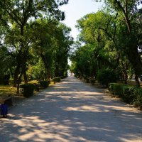 Феодосия. Летним утром на аллее Адмиральского бульвара. :: Пётр Чернега Феодосия. Летним утром на аллее Адмиральского бульвара. :: Пётр Чернега