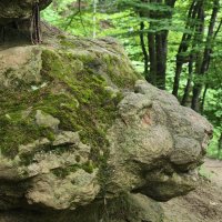 Причуды камня на Косыгинской тропе в Кисловодске :: Мариша Тим Причуды камня на Косыгинской тропе в Кисловодске :: Мариша Тим