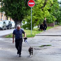Утреннее :: Юрий Гайворонскiий