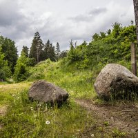 *** :: Николай 