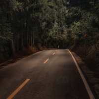 Сквозь дремучий лес. :: Лилия .