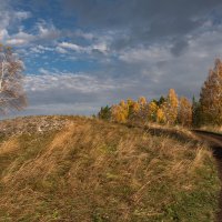 Жёлтая симфония осенних деревьев :: Сергей Герасимов Жёлтая симфония осенних деревьев :: Сергей Герасимов