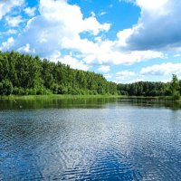 Наше лето. :: Милешкин Владимир Алексеевич Наше лето. :: Милешкин Владимир Алексеевич