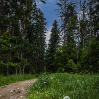 *** :: Николай *** :: Николай