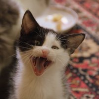 ЧТО НАША ЖИЗНЬ? ИГРАааааааа! :: Елена Минина