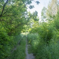 ___ :: Yuriy V