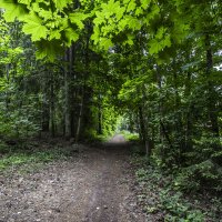 *** :: Николай 