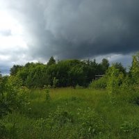 И о погоде в столице :: Андрей Лукьянов