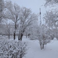 Зимний день :: Андрей Хлопонин