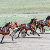Бега :: SanSan 