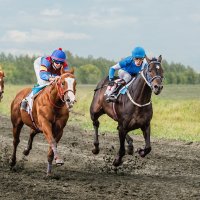 Скачки :: SanSan 