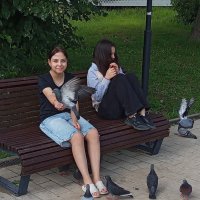 * * * :: Андрей Лукьянов