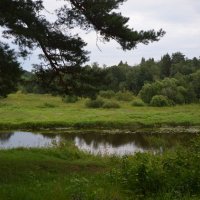 ВАСИЛЁВО :: Галина R...