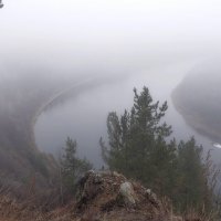 Утренний туман :: Марина Фомина.